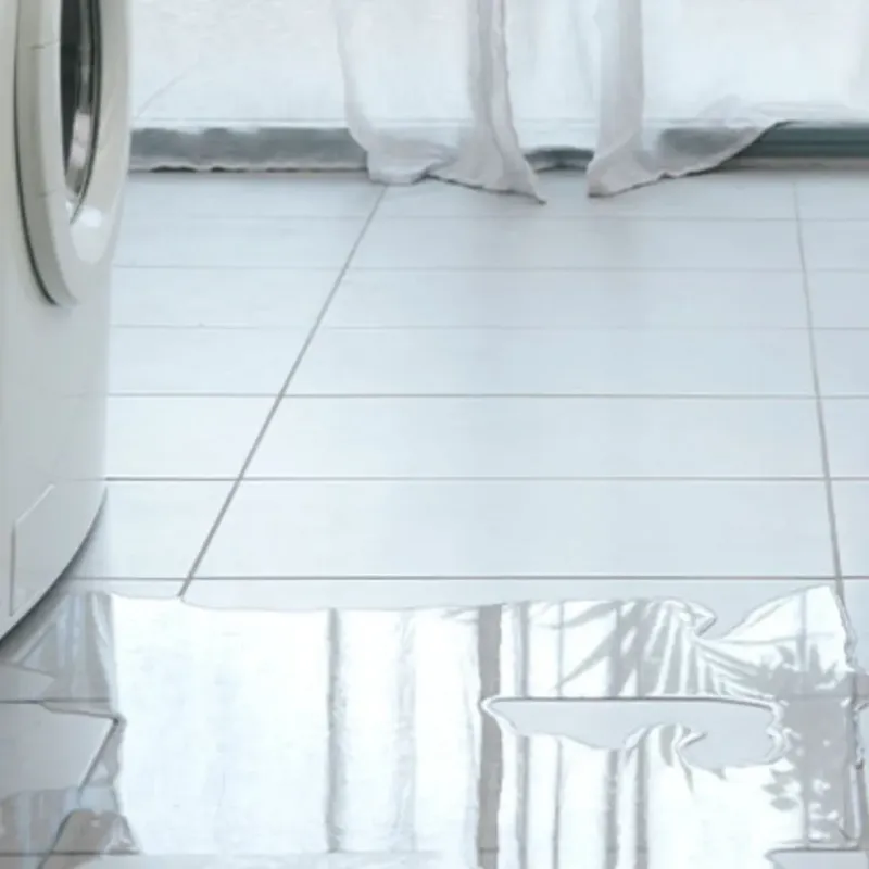 Appliance Leak Cleanup in Linden, TN