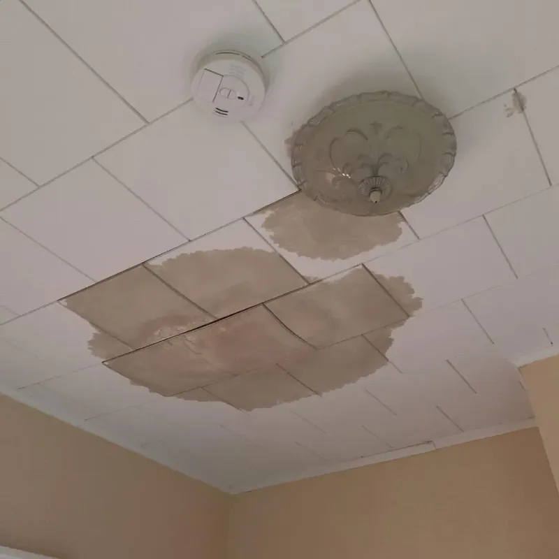 Ceiling Water Damage Repair in Linden, TN