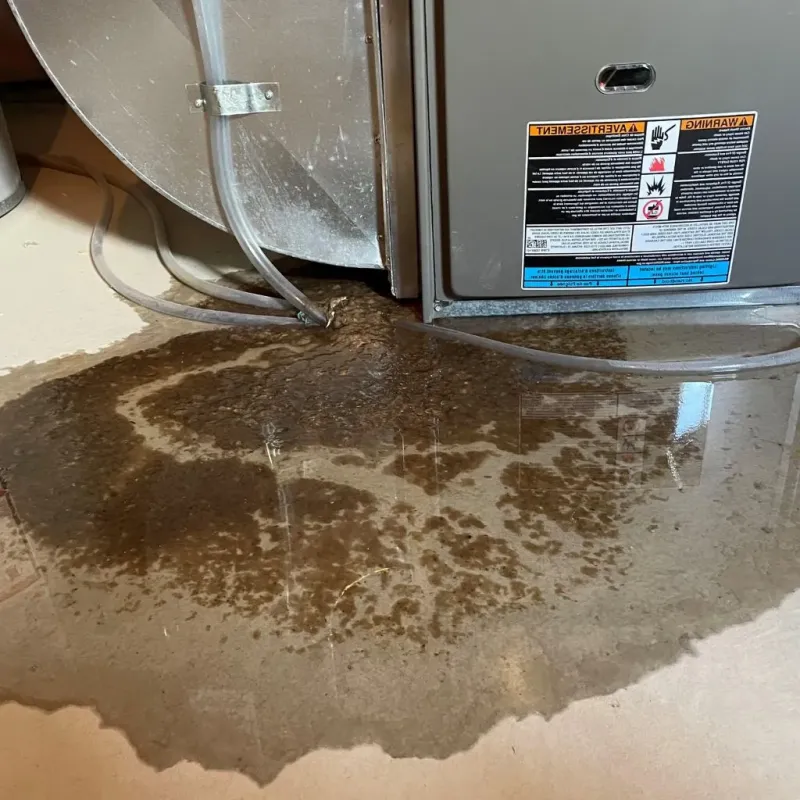 Pipe Burst and Leak Restoration in Linden, TN