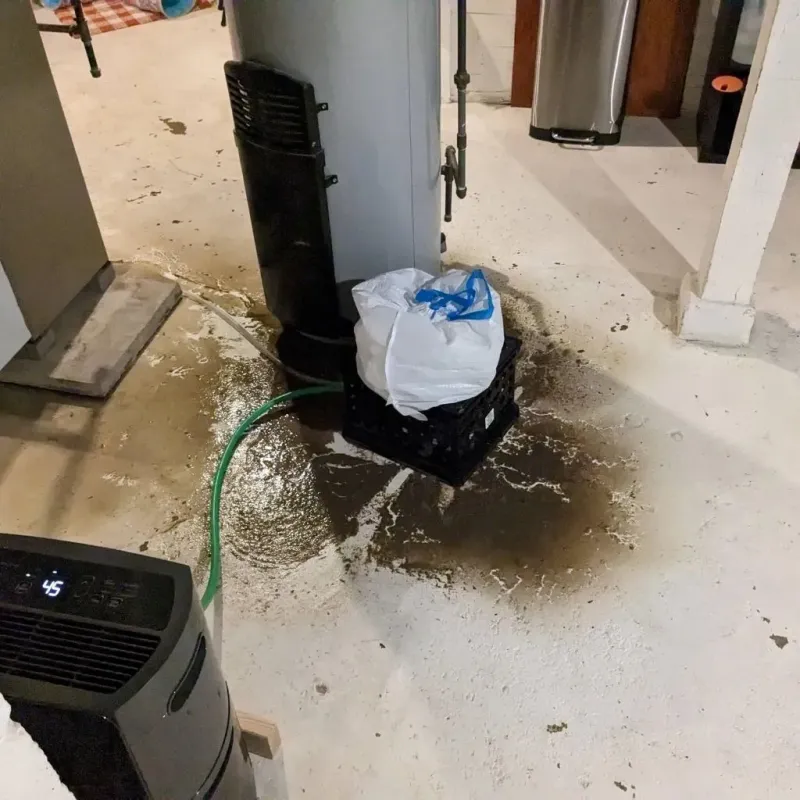 Sewage Backup Cleanup Service in Linden, TN